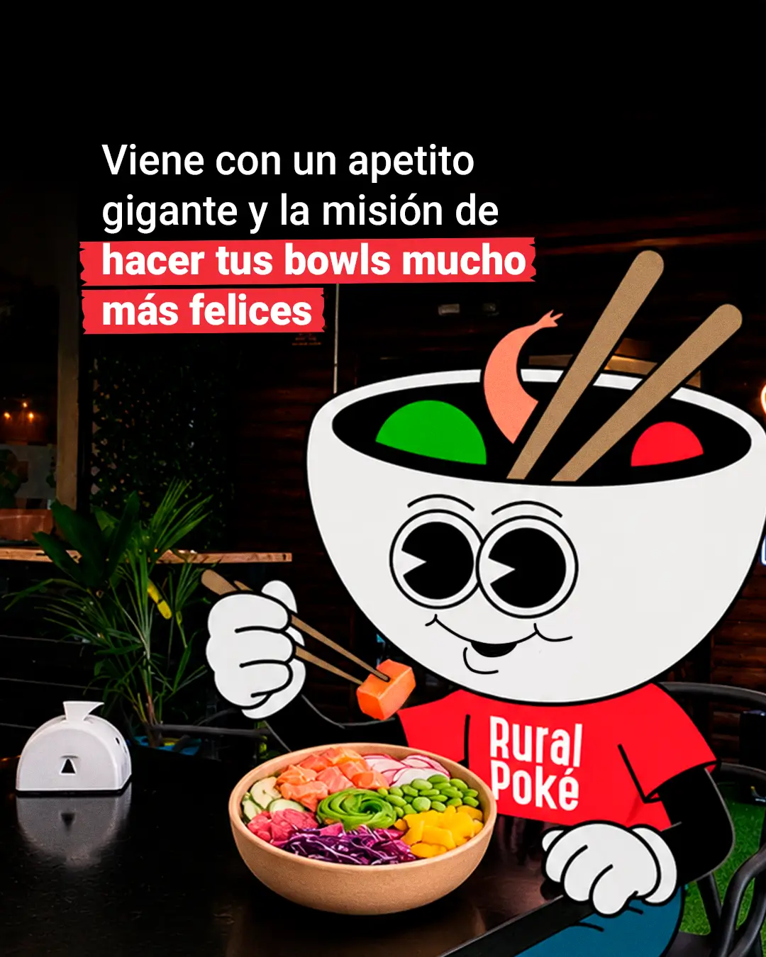 Lanzamiento del personaje Ruralpoke, slide 3